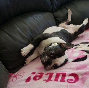 Meet your Posher, Denise